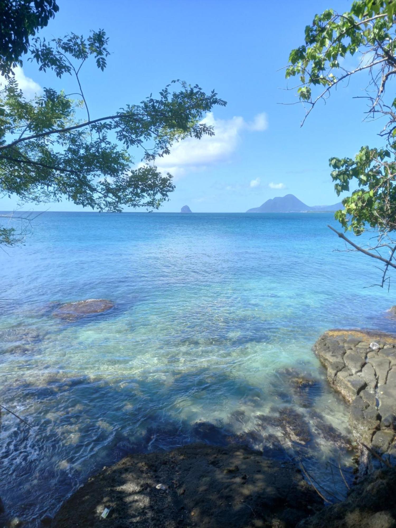 Appartement A Anse Mabouya En Rez De Jardin Avec Piscine A Proximite Des Plages Sainte-Luce Exterior photo
